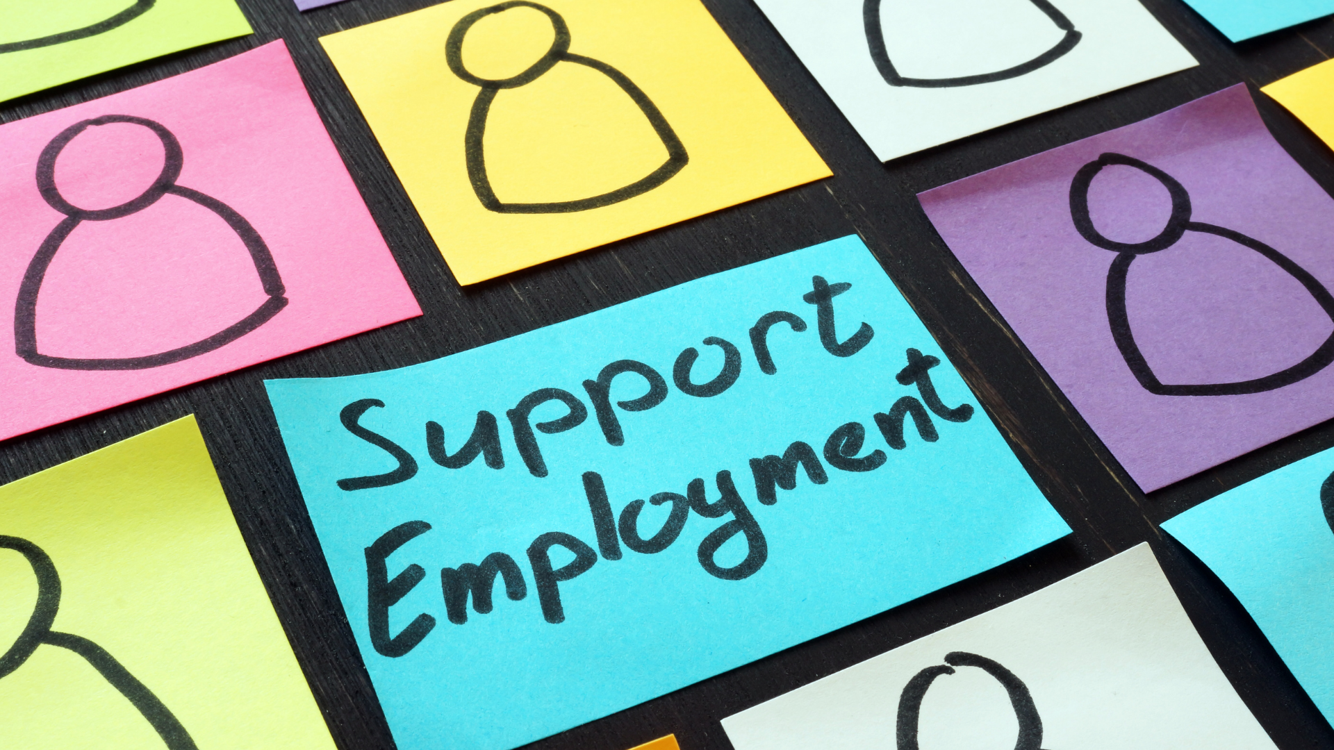 Diseño sin título (35)